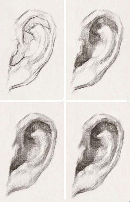 耳部素描步骤